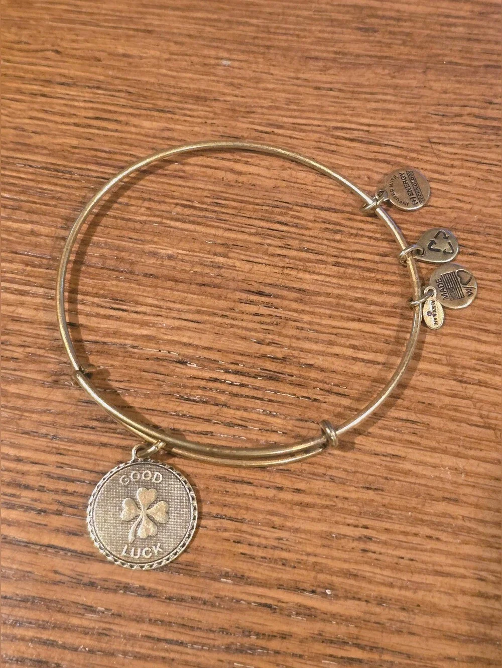 ALEX AND ANI Good Luck Charm Bracelet GUC